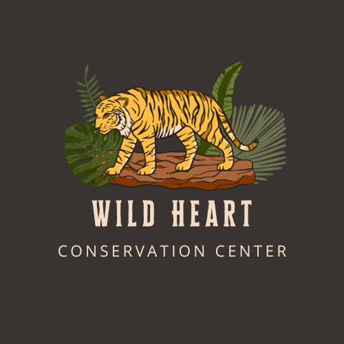 Wild Heart Conservation Center