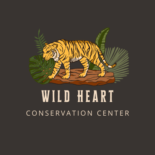 Wild Heart Conservation Center