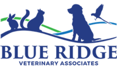 Blue Ridge Veterinary Services