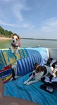Boating Days