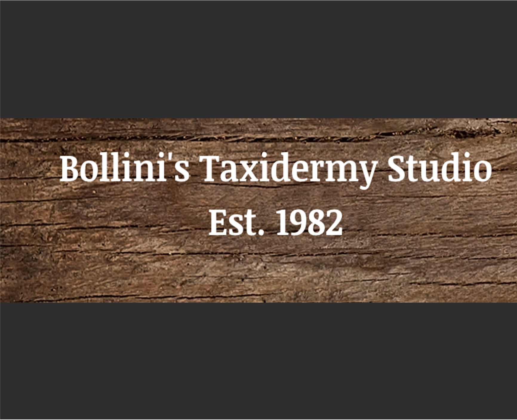 Bollini's Taxidermy Studio