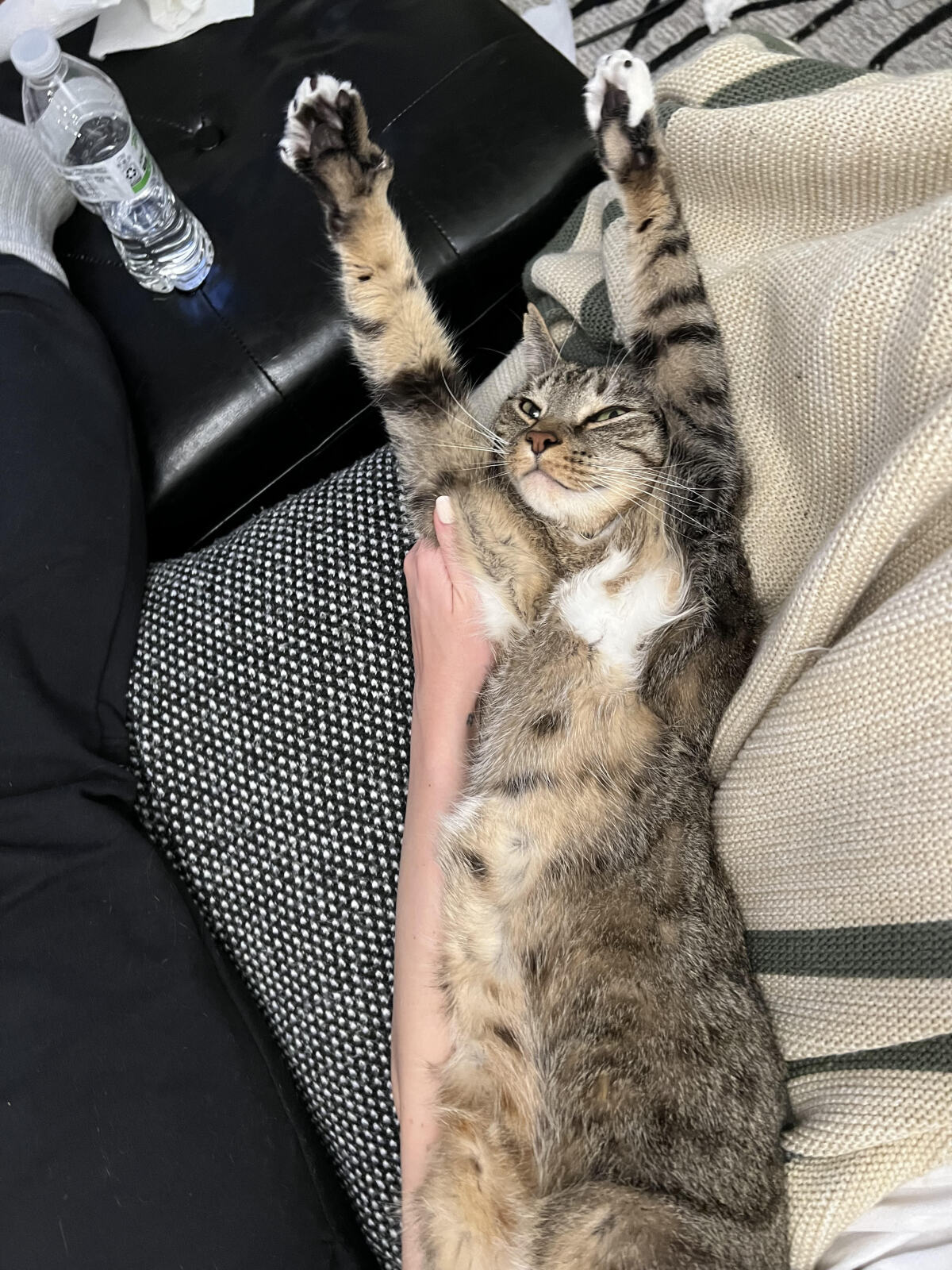 Big Stretch!