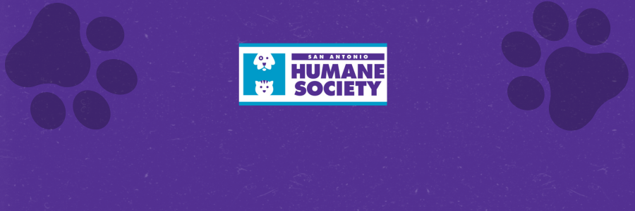 SAHS Peer-to-Peer Fundraising