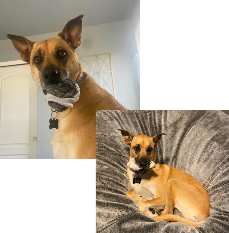 Likes: Socks