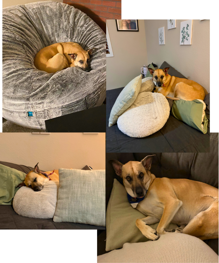 Likes: Making myself comfy