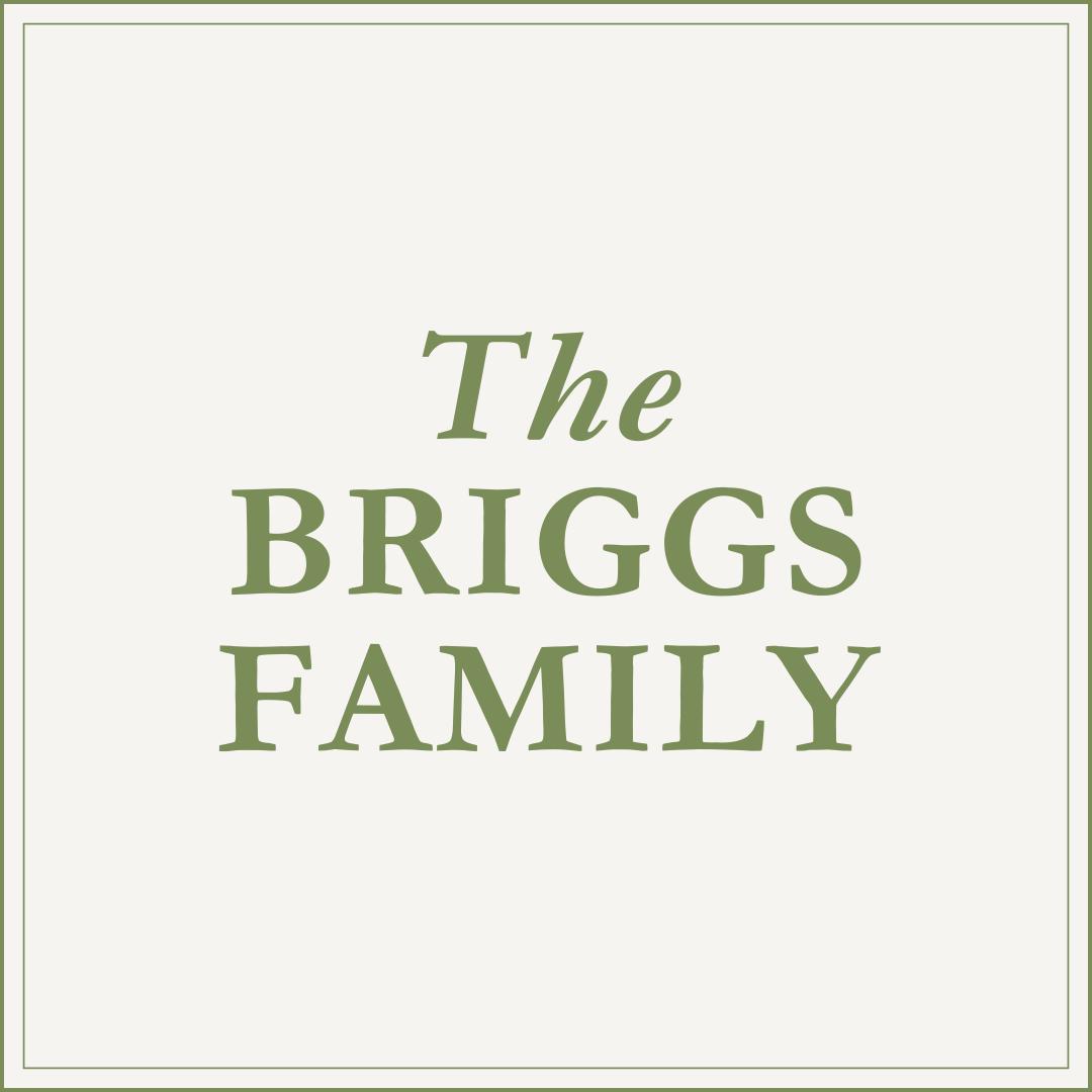 The Briggs Family
