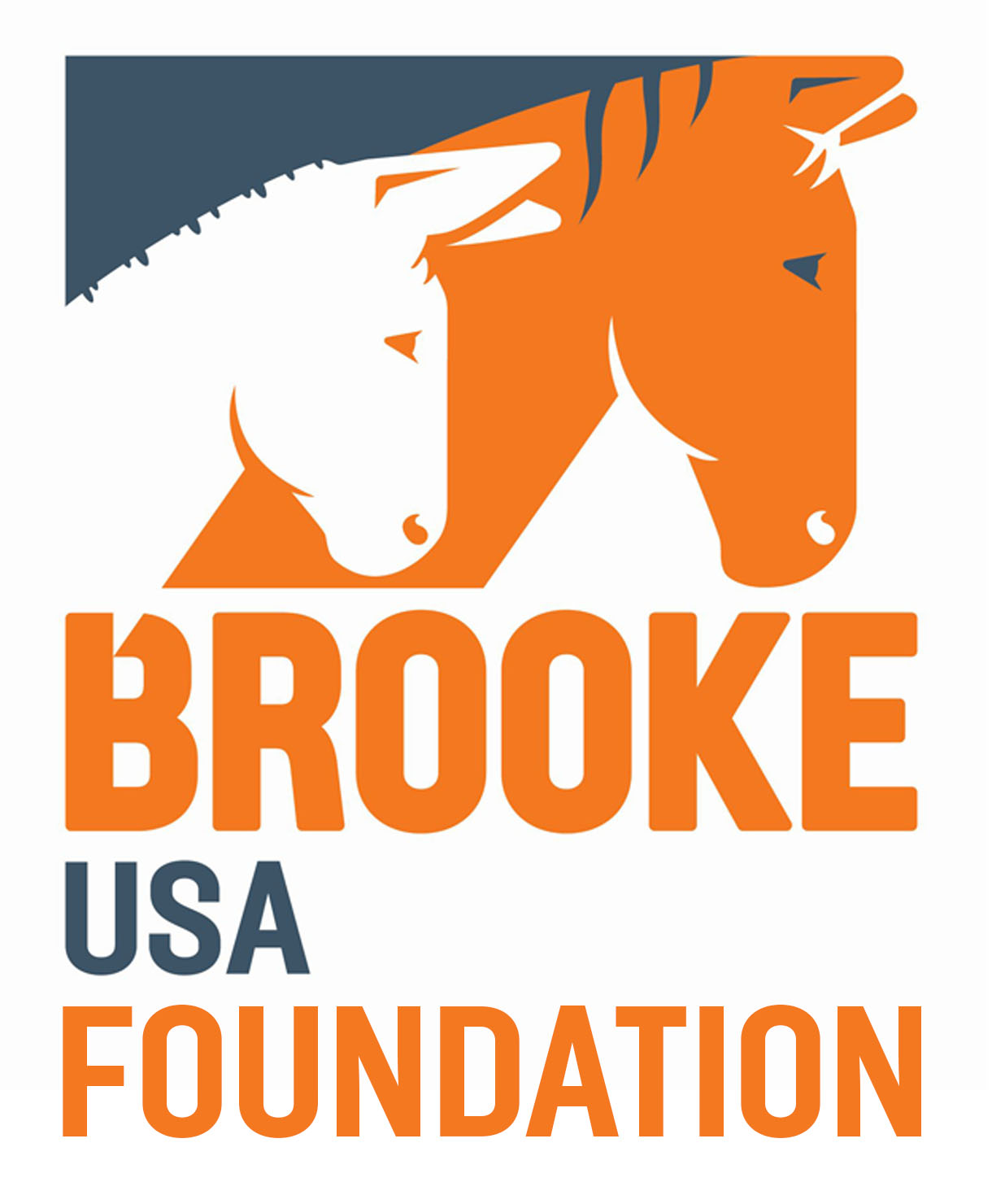 Brooke USA Foundation