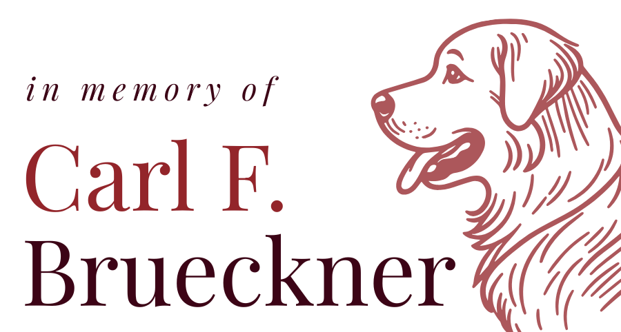 In memory of Carl F. Brueckner