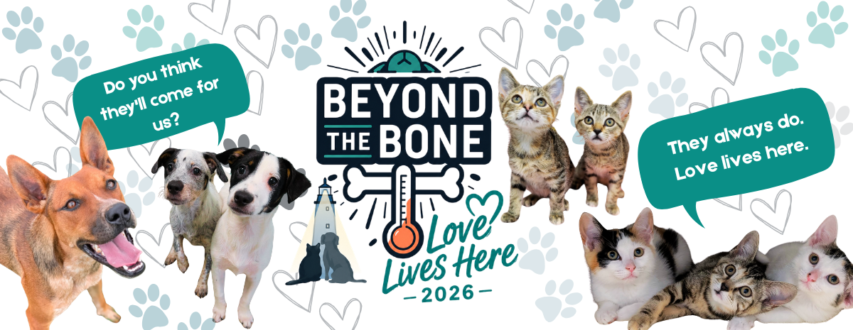 Beyond the Bone: Love Lives Here