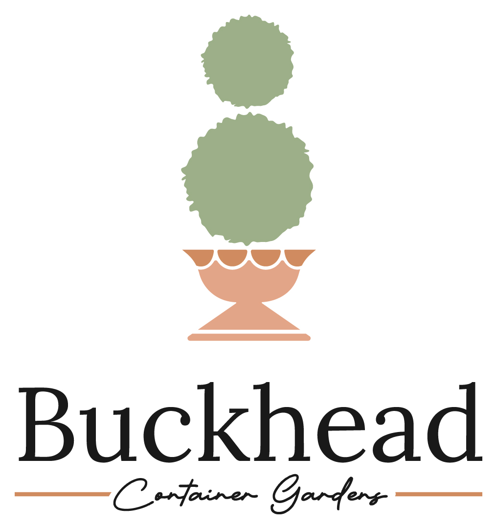 Buckhead Container Gardens