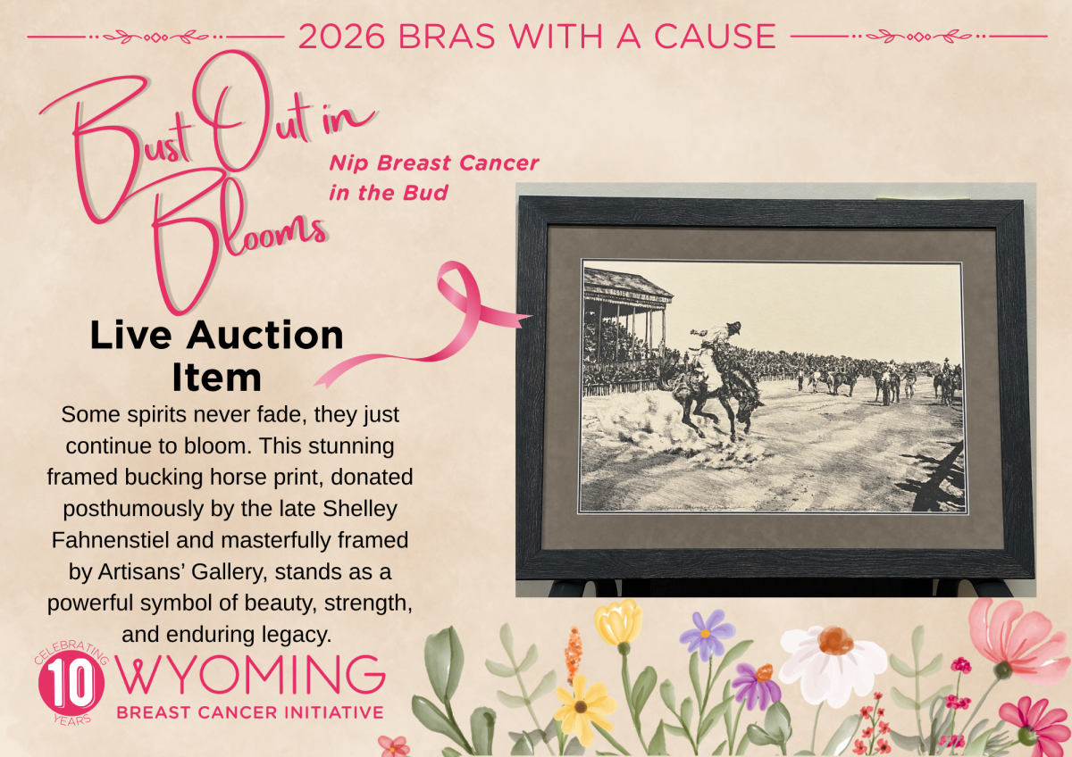 2026 Bras with a Cause Live Auction Item: Framed CFD Bucking Horse Print