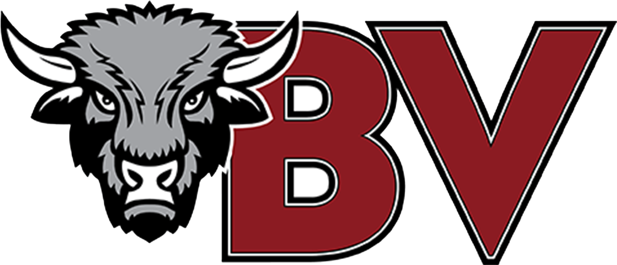 Omaha Buena Vista High School