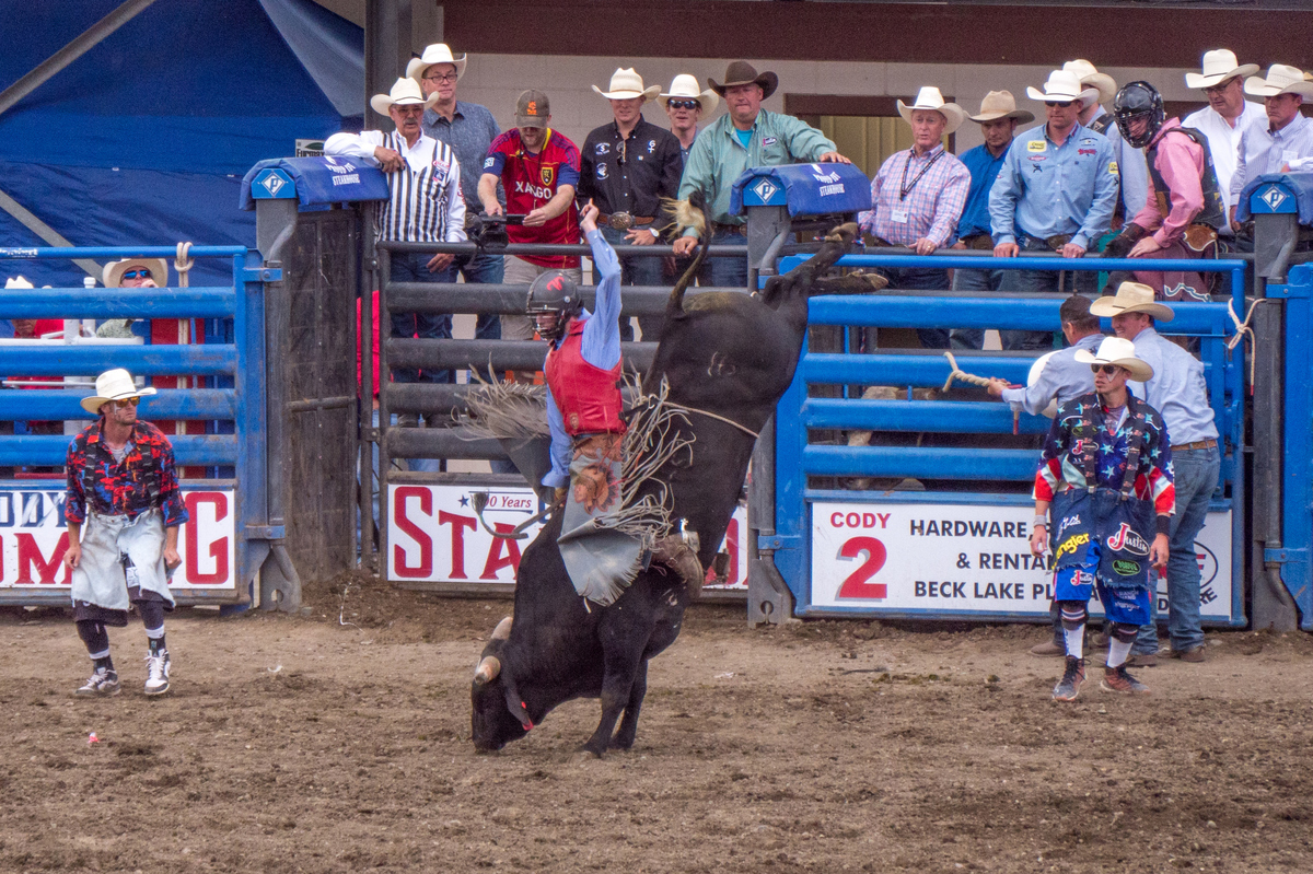 Bullriding at the Cody Nite Rodeo