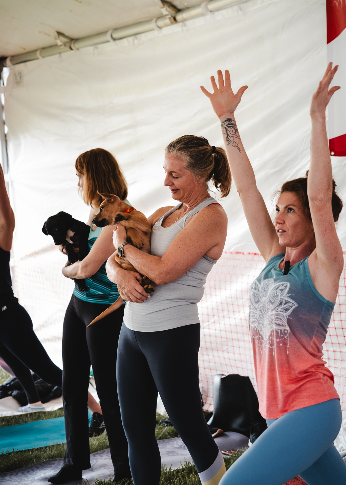 How About Upward Dog?