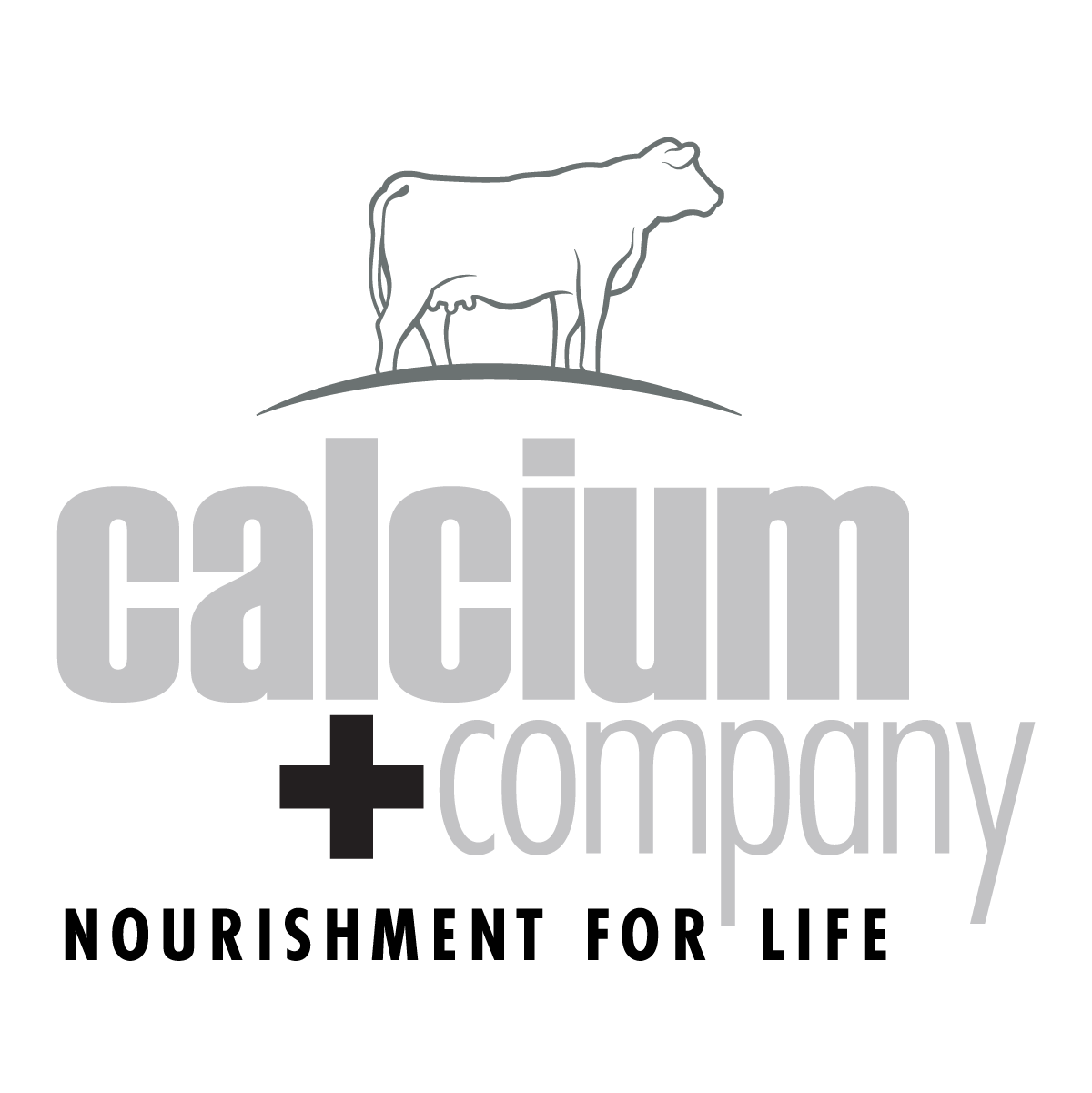 CALCIUM+CO FULL LOGO 824@3x.png