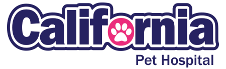 California Pet Hospital
