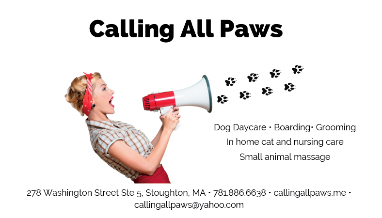 Calling All Paws