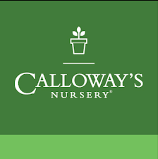Calloway's Nursery