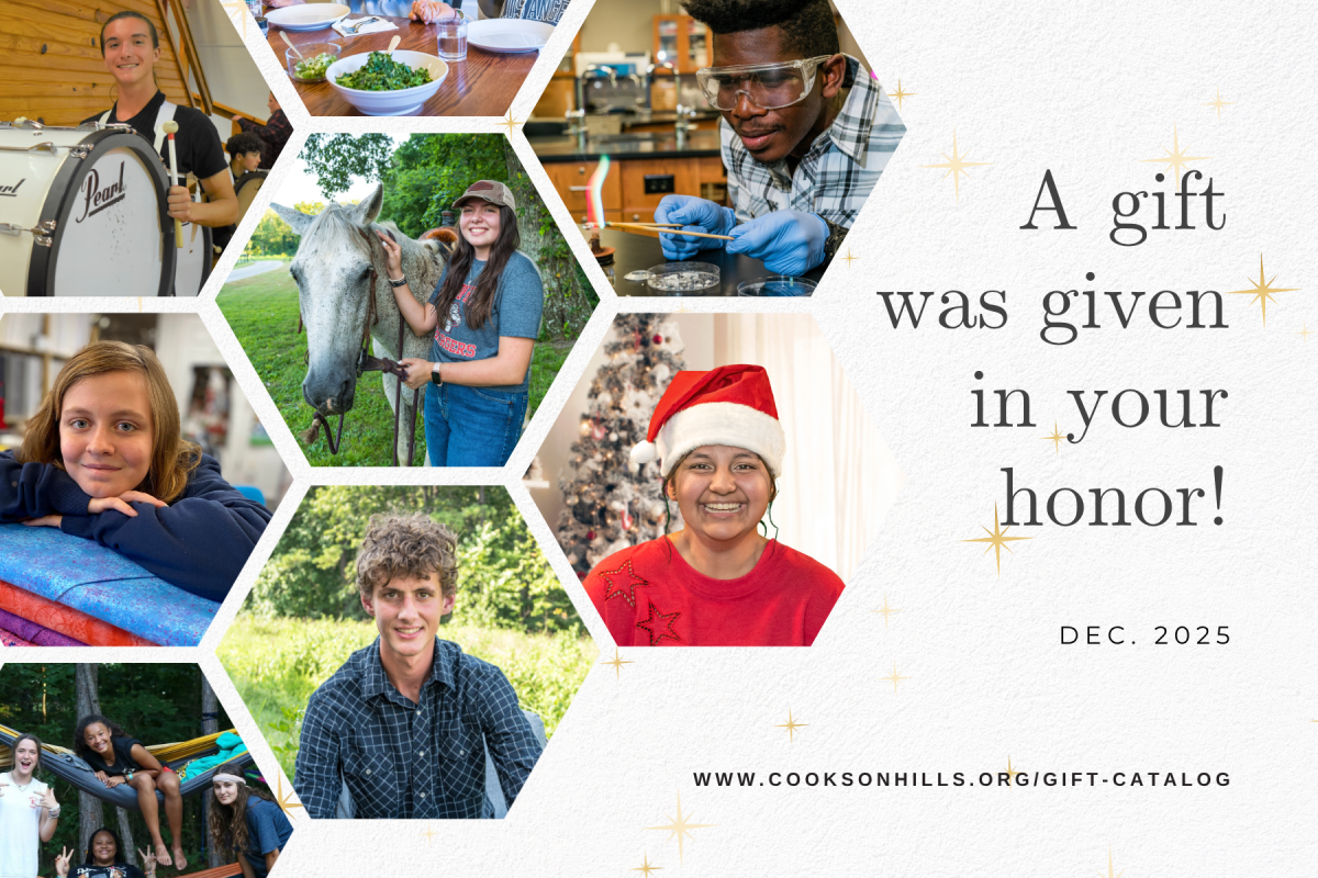 Card Option with all focus