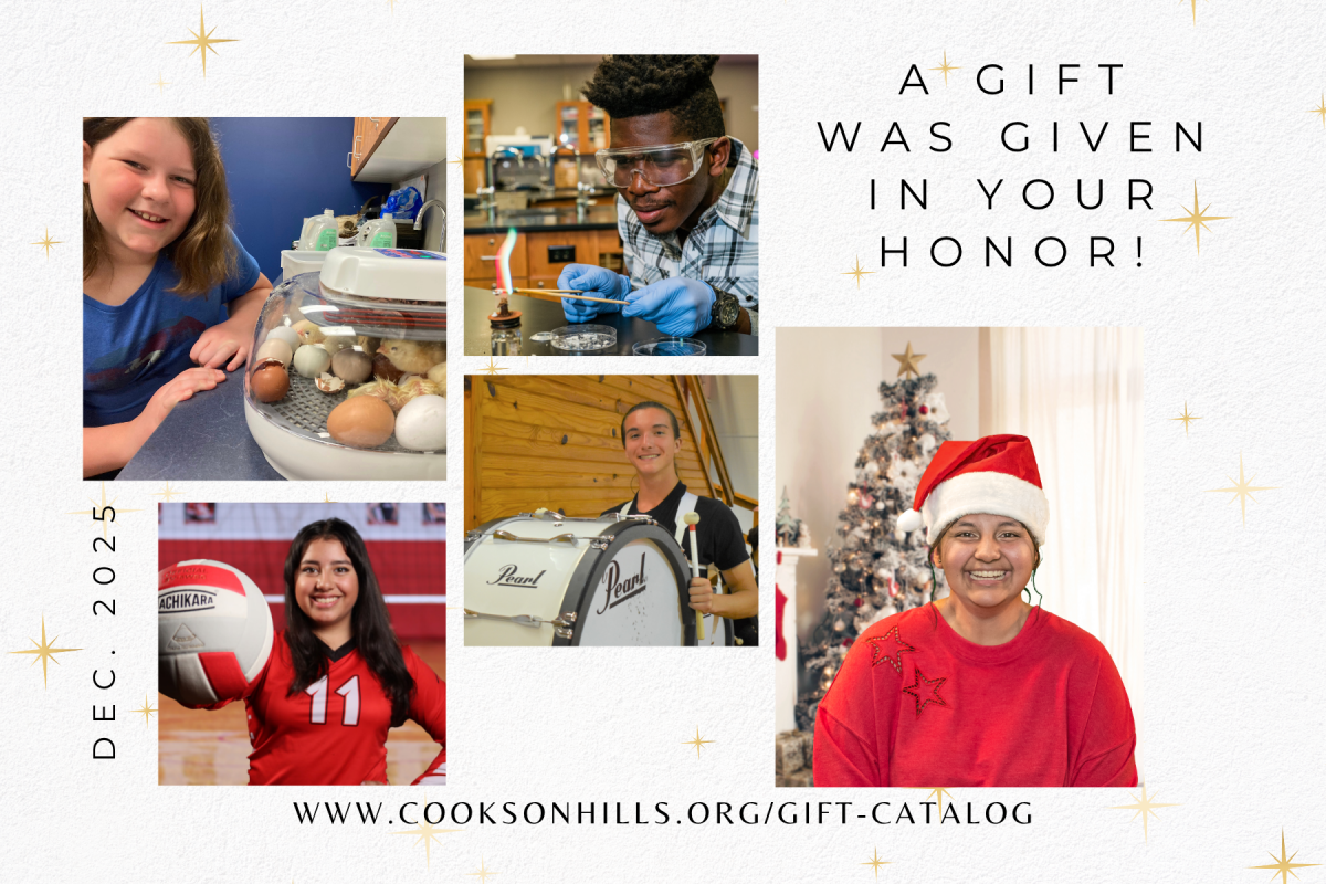 Card Option School Focus