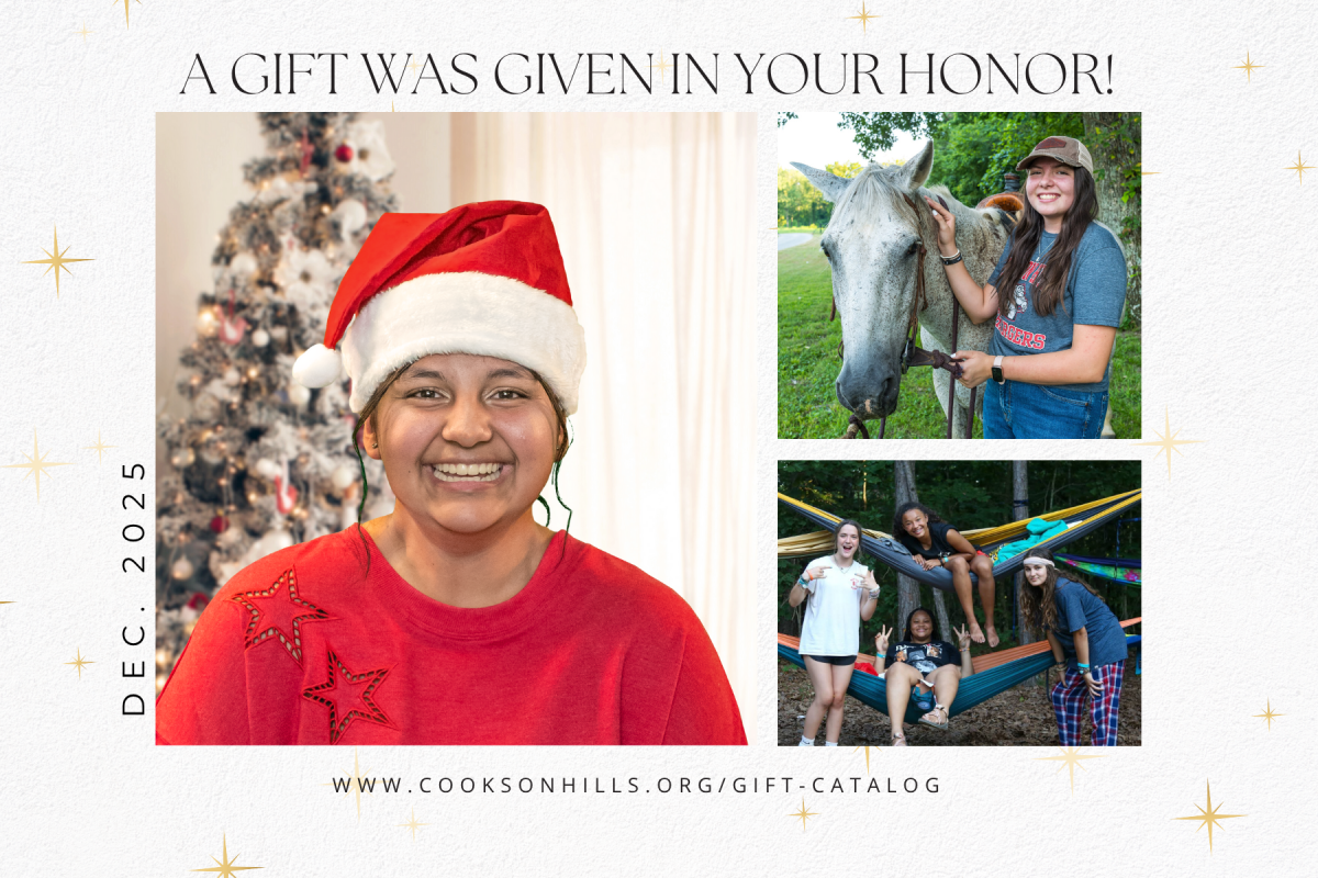 Card Option Therapy Focus