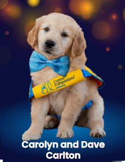 Carolyn and Dave Carlton