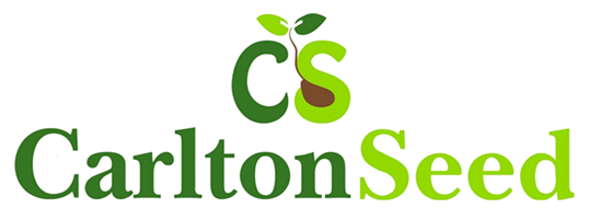 Carlton Seed