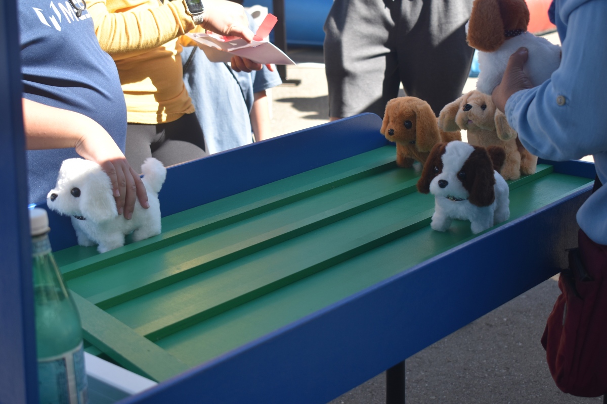 Carnival Games