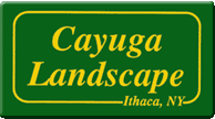Cayuga Landscape