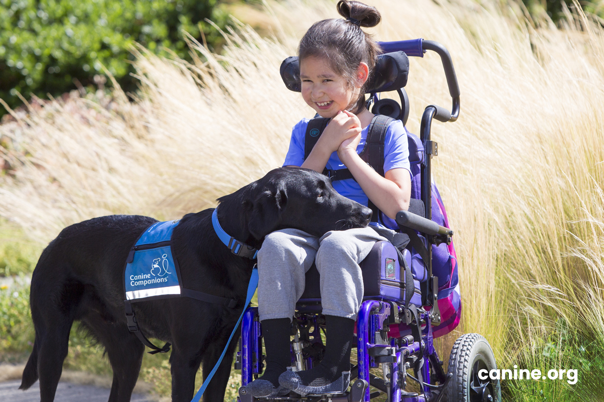 Unspoken Bonds: Embracing Joy with Canine Companions