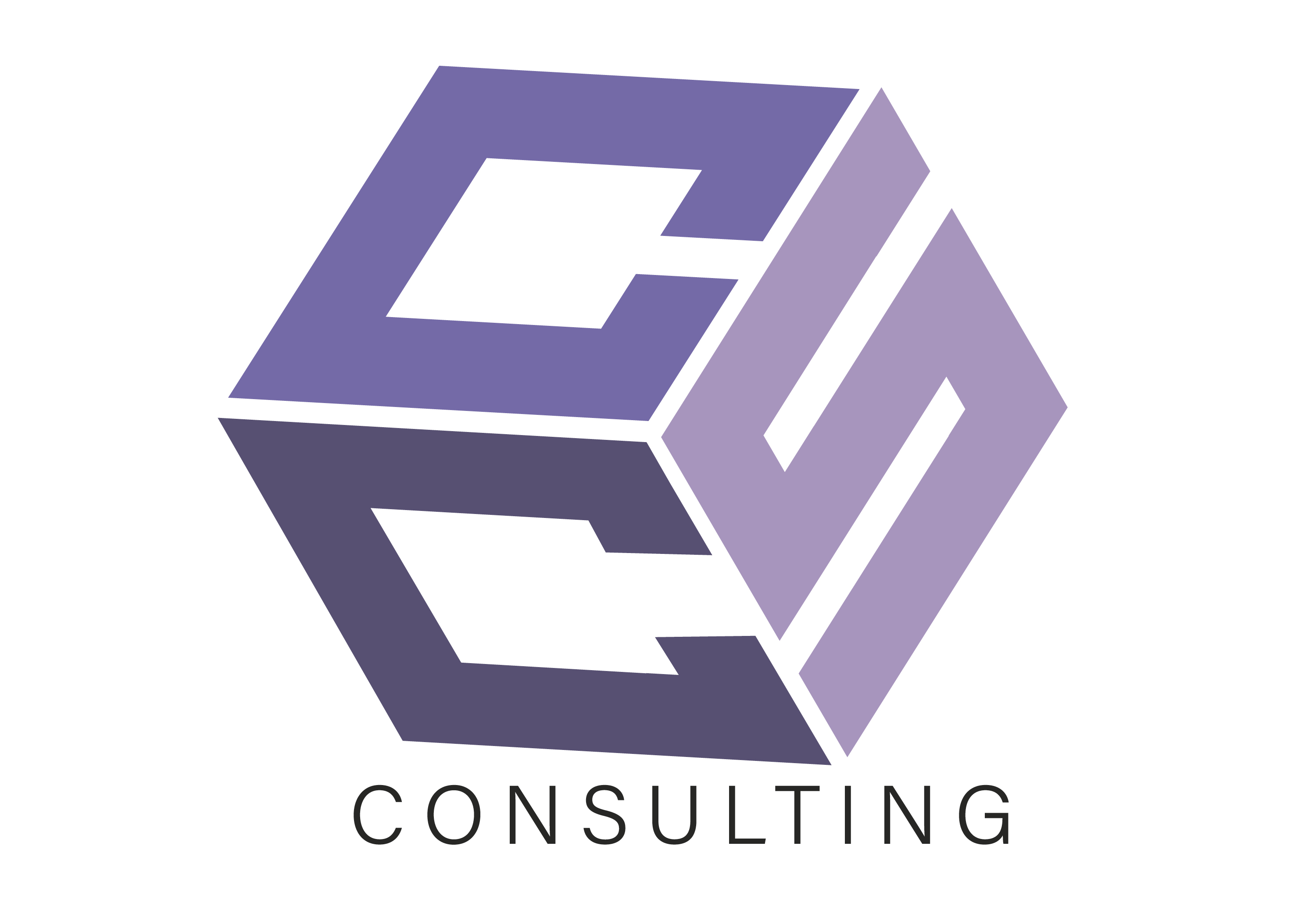  CCS Consulting 