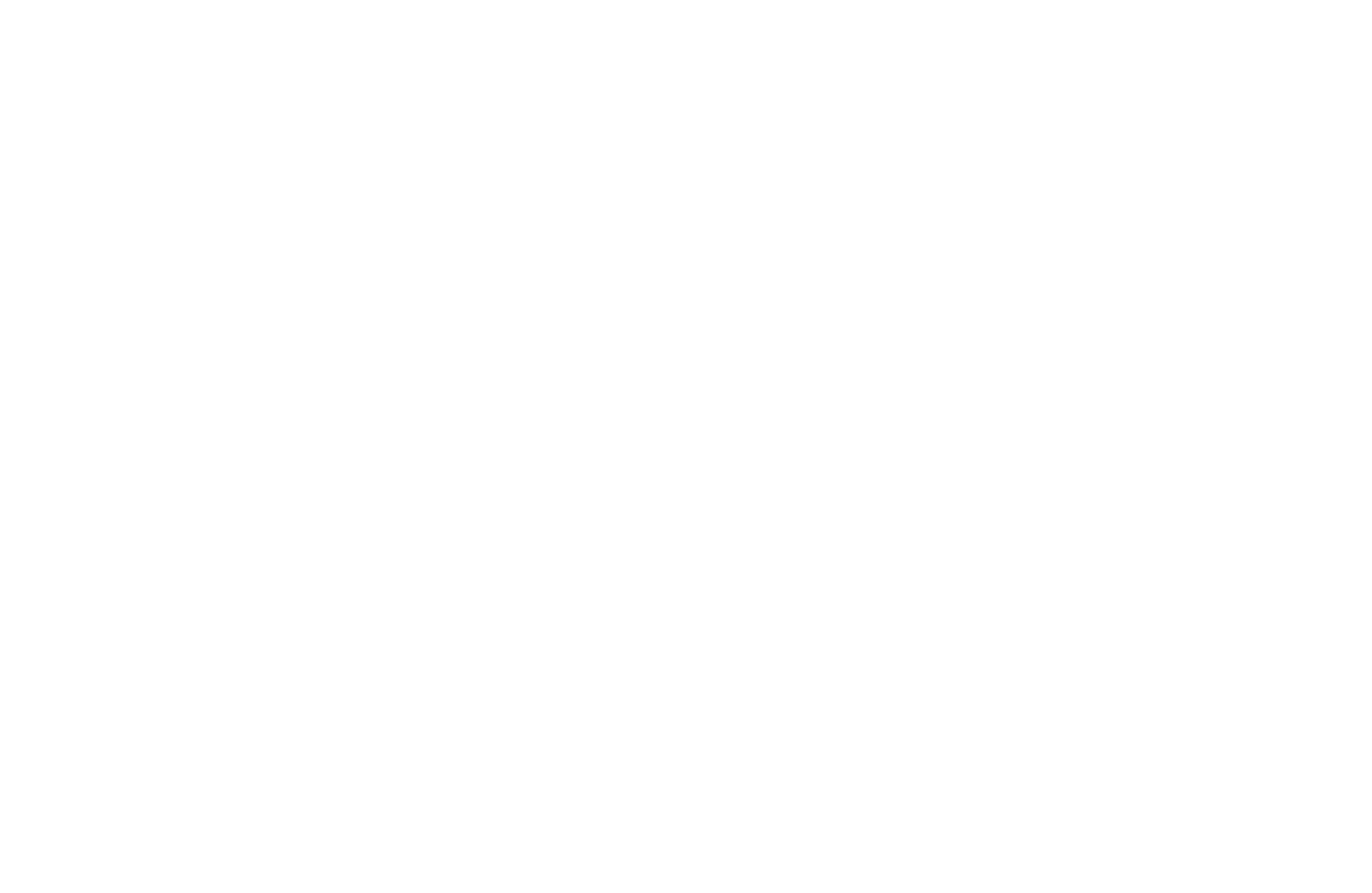 The Center for Family Justice