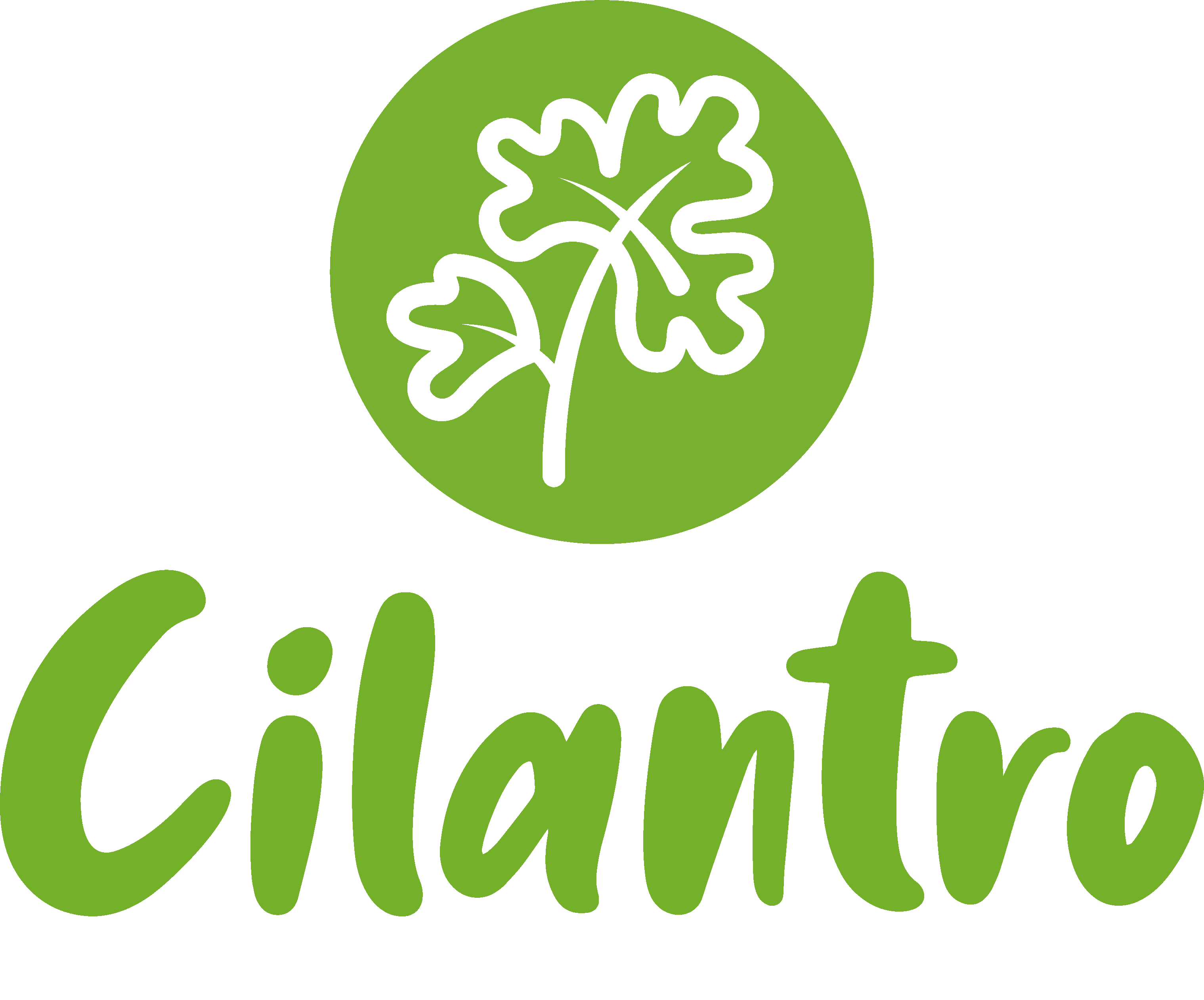 Cilantro Latin