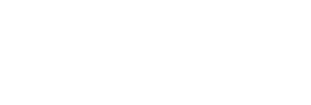 Circus Juventas