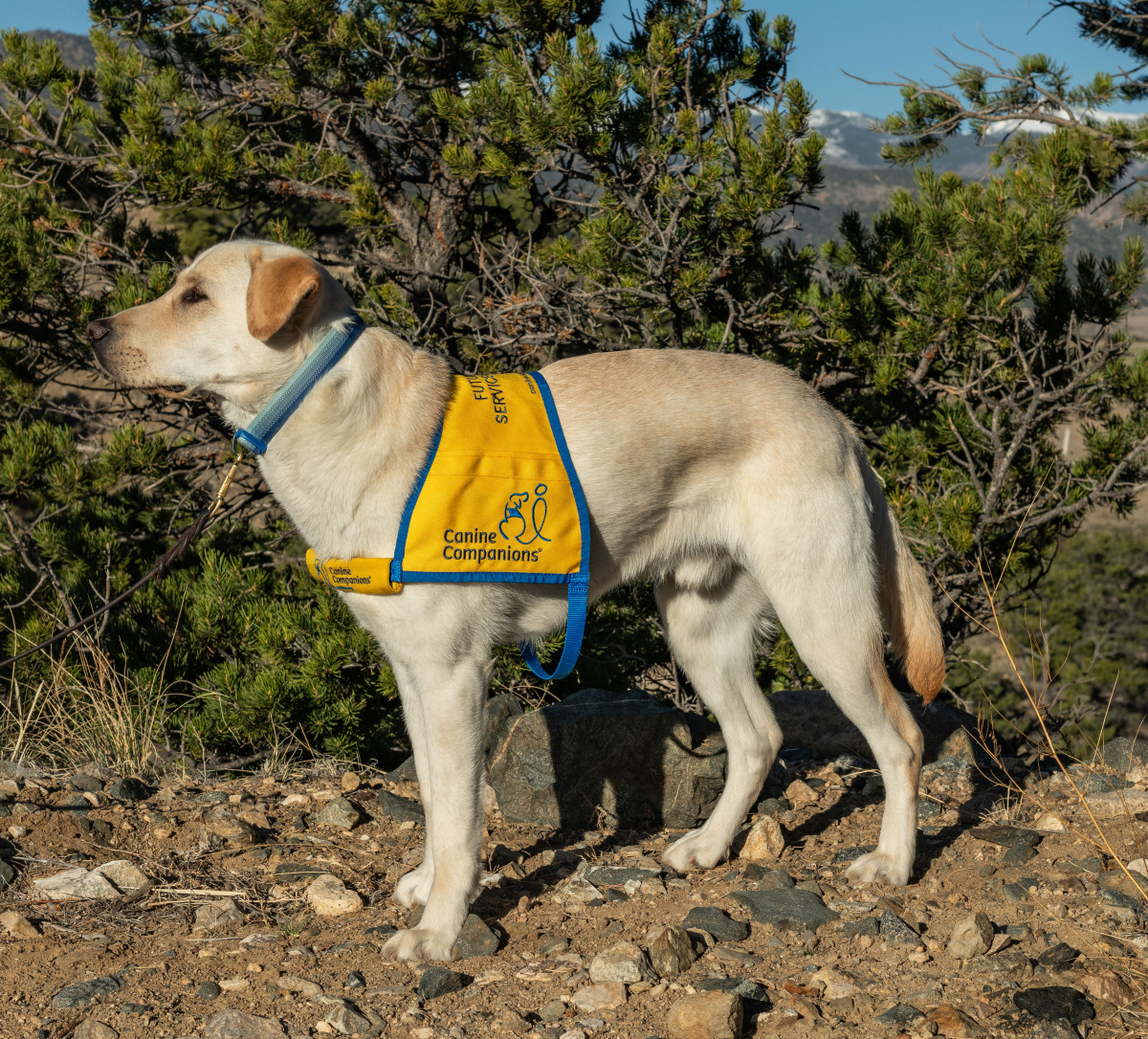 Mug shot for my 2-weeks in the prison puppy raising program.
