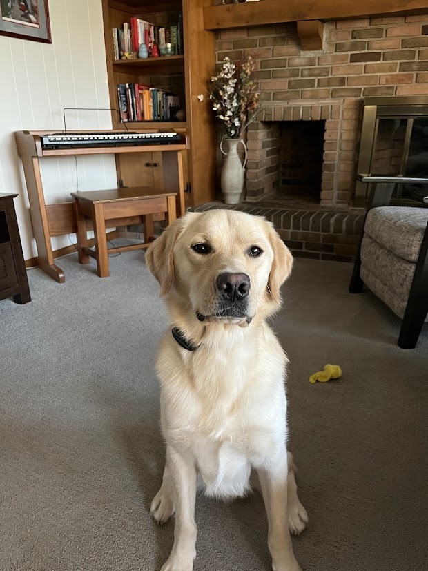Clyde