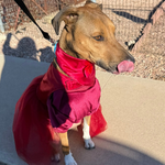 Bleah! Can someone get me a professional photographer?