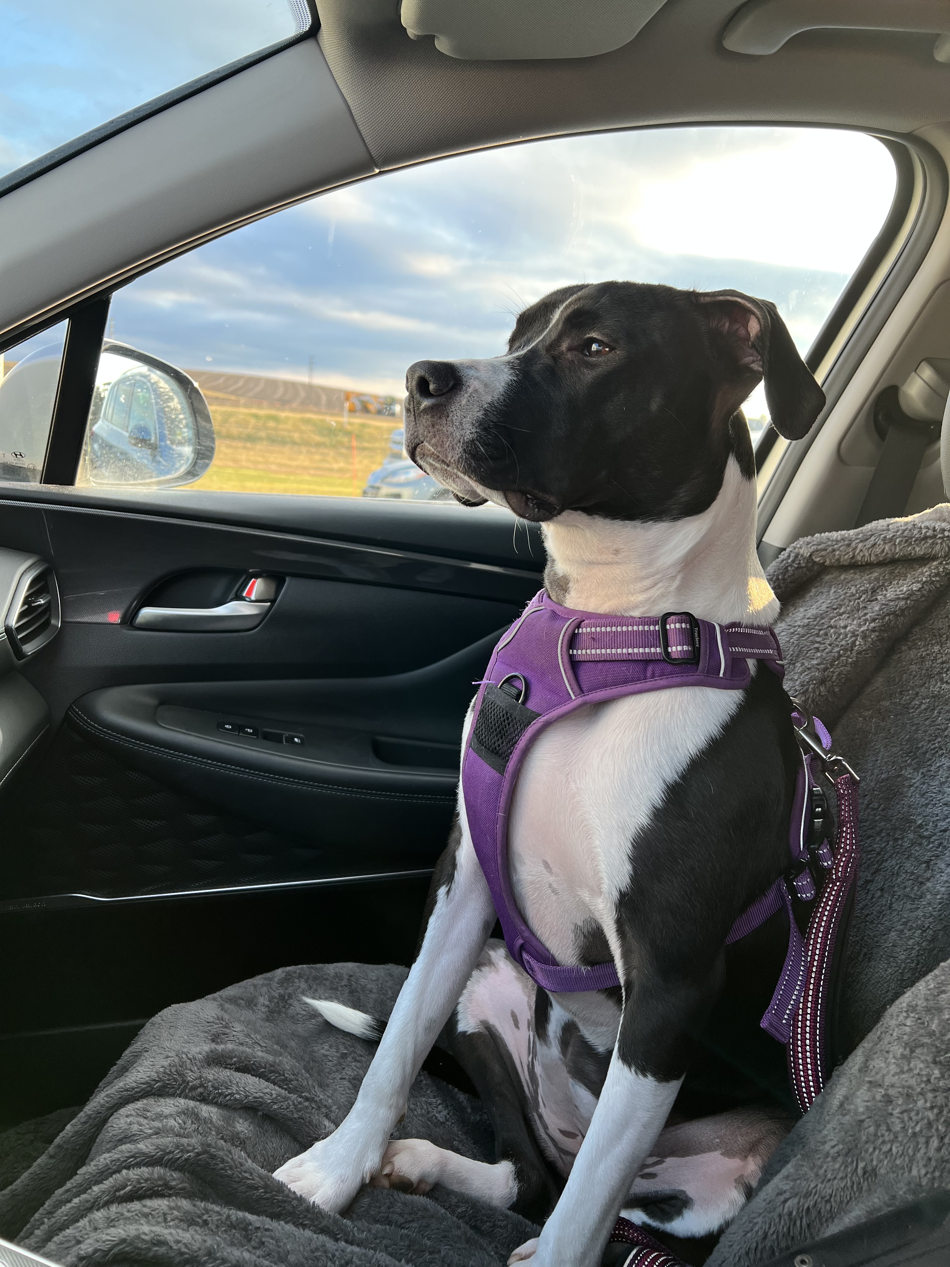 The most proper co-pilot