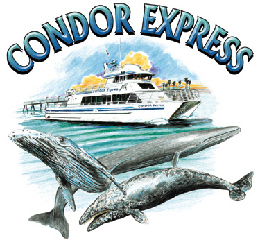 Condor Express