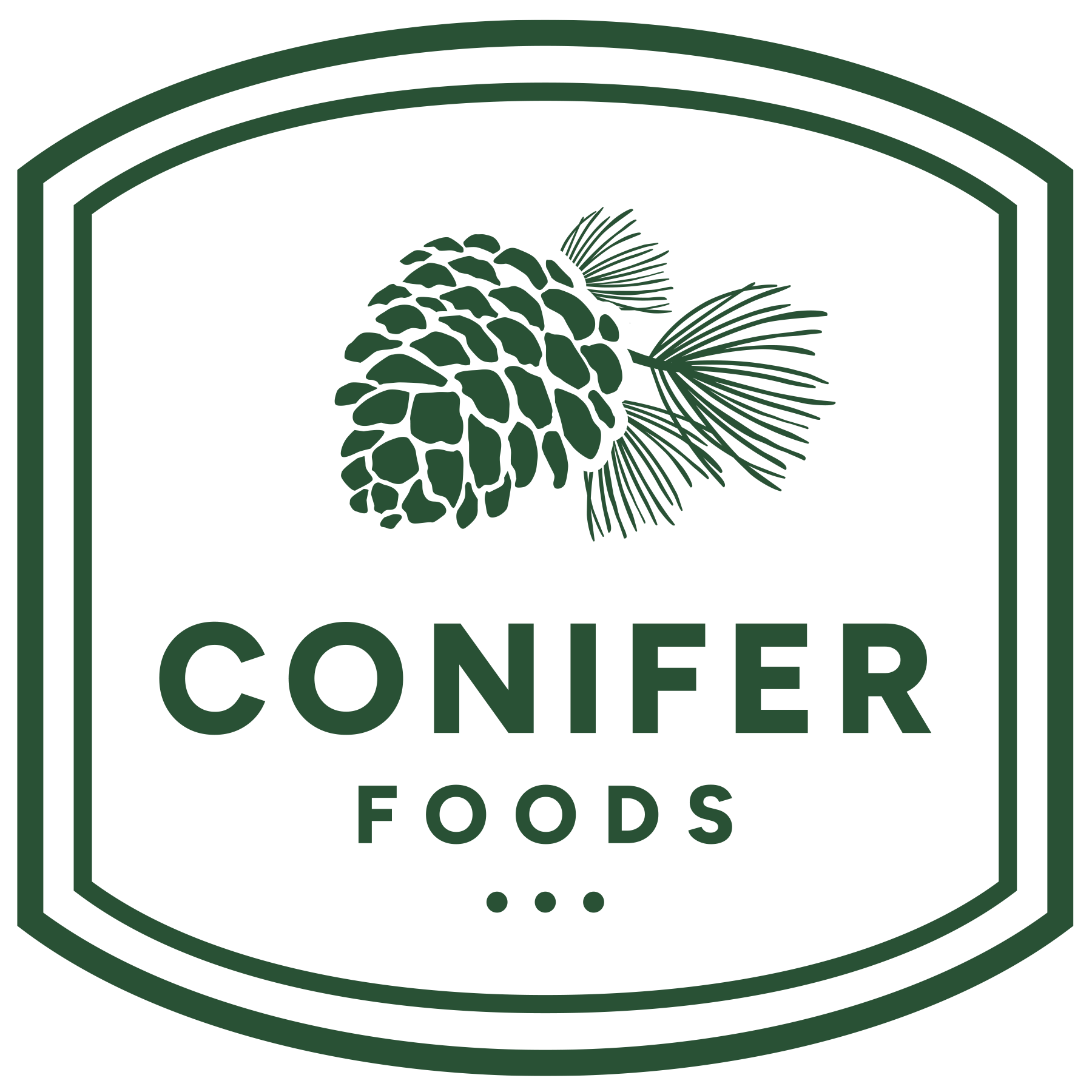 Conifer