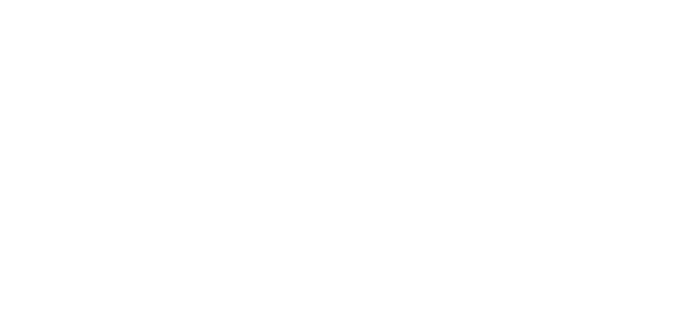 The Constellation Fund