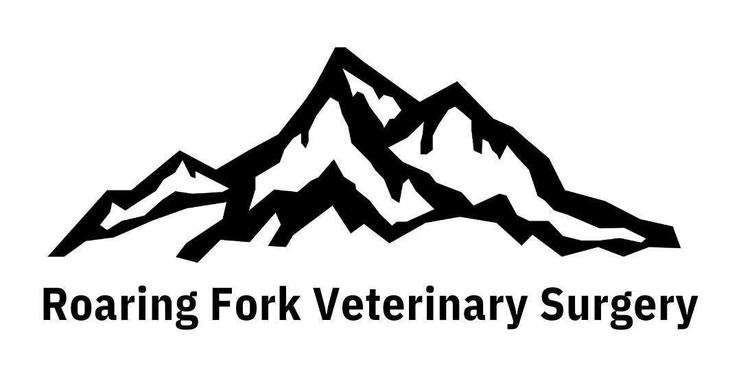 Roaring Fork Veterinary Surgery