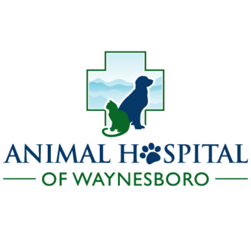 Animal Hospital of Waynesboro