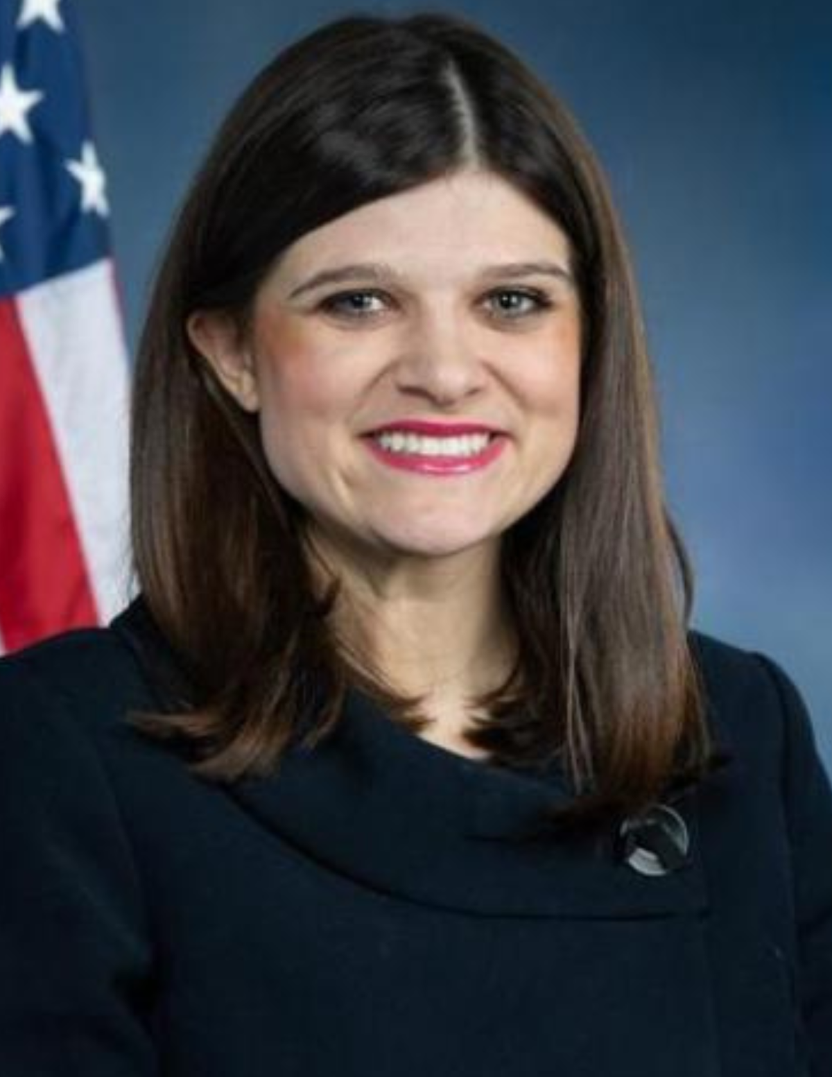 U.S. Representative - Michigan