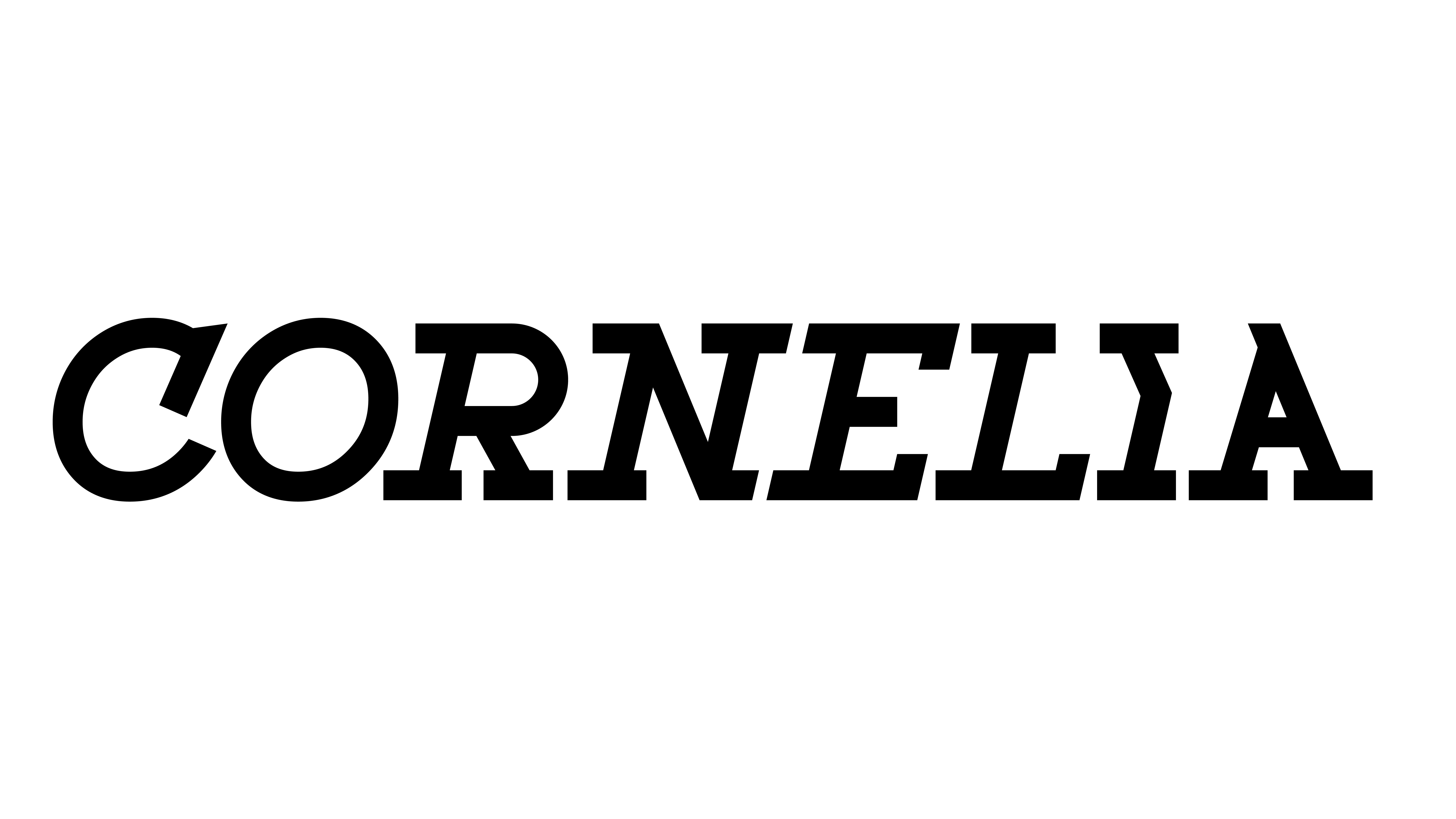 The Buffalo Institute for Contemporary Art, Inc.