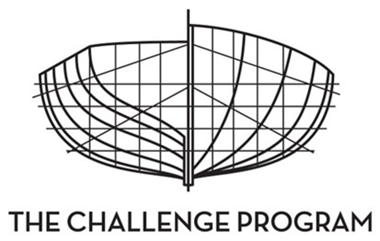 The Challenge Program
