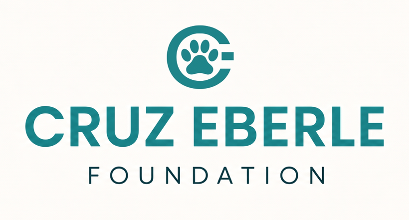 The Cruz Eberle Foundation