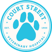 Court Street Veterinary Hospital