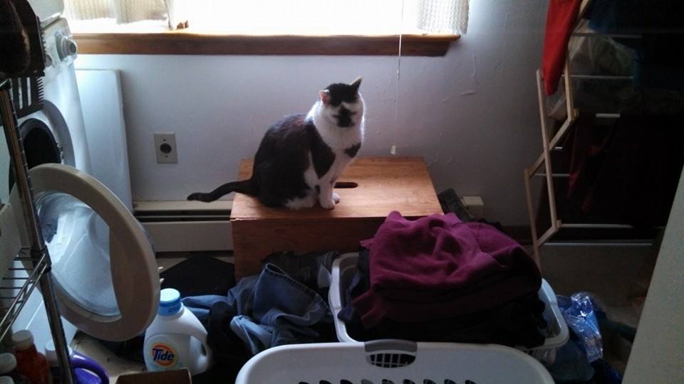 Laundry can't be done without supervision...