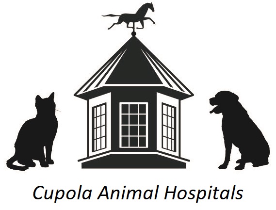 Cupola Animal Hospitals